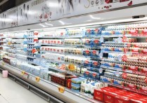 什麼是南方共同市場？概念、組成國家、起源、特色、主要協議