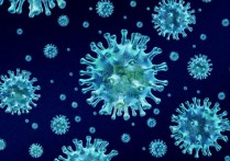 什麼是微生物？概念、特徵和分類