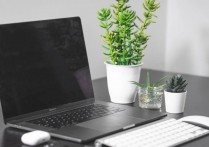 什麼是小型企業？概念、特徵、範例