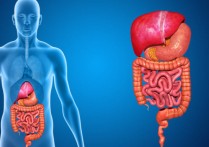 生物學中的系統是什麼？概念、特徵、裝置和系統差異
