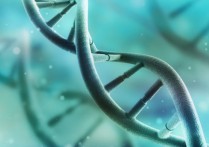 什麼是基因型？概念、與表現型差異、重要性，人類基因組以及例子