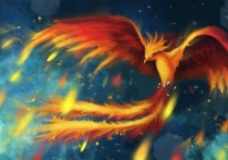 什麼是神話中的鳳凰？概念、特徵、出現文化