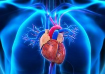 人體中的大循環和小循環？概念、特徵、循環特性、功能和路線