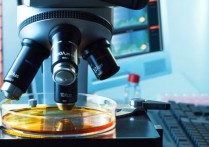 什麼是科學知識？概念、特徵、類型和例子