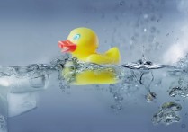 什麼是水態？概念、狀態特徵、狀態變化如何發生