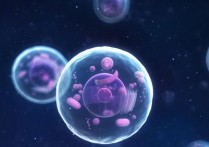 什麼是細胞？概念、存在類型、組成部分和功能