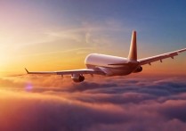 什麼是飛機？其飛行方式、發明以及第一個飛機