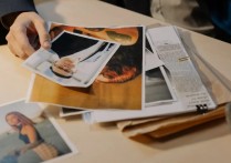 什麼是調查？概念、類型、功能、範例