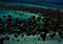 什麼是小行星帶？概念、與太陽距離、起源理論
