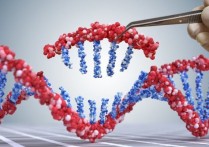什麼是基因改造生物（GMO）？概念、特徵、優點、缺點以及用途