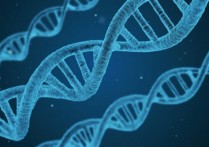 什麼是克隆？概念、基本原理、歷史和現有的克隆類型