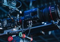 什麼是相對頻率？概念、相對頻率與絕對頻率、範例