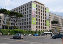 糧農組織是什麼？概念、特徵、目標、成立時間