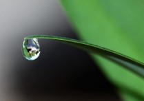 什麼是水？概念、組成、用途和重要性、不同類型、狀態以及水循環