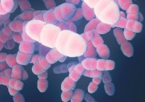 什麼是微生物？概念、特徵、分類和例子