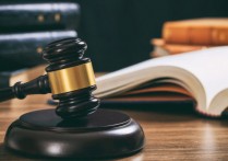 什麼是法律？概念、來源、分支和其他特徵