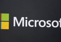 Microsoft 是什麼？該公司提供哪些產品、如何在網路上運作