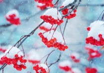 物理學中的沉積是什麼？概念、如何發生的以及各種例子