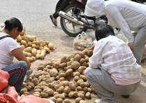 什麼是基本籃子？概念、特徵、組成 、範例