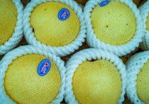 什麼是公共赤字？概念、特徵、成因 、計算方法 、資金來源、範例