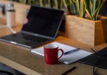 什麼是特許經營？概念、類型 、範例