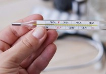 什麼是溫度計？它的用途、類型及工作原理