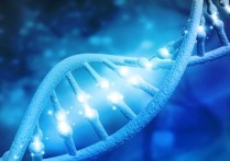  DNA 的結構是什麼？概念、存在類型如何被發現