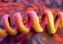 什麼是莫內拉王國？概念、起源、特徵、分類和例子