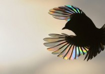 什麼是生物物理學？概念、它的目標、研究對象和分支、重要性
