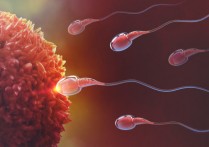 什麼是繁殖？概念、存在類型、動物和人類的繁殖及其重要性
