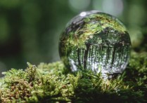 物理學中的反射是什麼？概念、區別以及各種示例