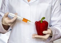 什麼是基因改造生物？概念、如何分類、如何獲得、優缺點和例子