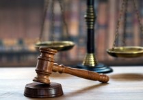 什麼是組織法？概念、重要性和例子