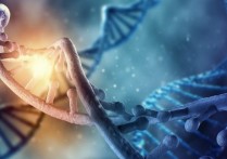 DNA 是什麼？概念、生命重要性、結構、DNA 複製和 RNA 差異