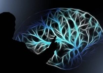 什麼是人類思維？概念、特徵、存在類型和研究思想