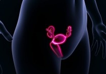 什麼是女性生殖系統？概念、主要功能、組成部分、可能疾病