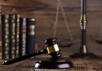 什麼是法治？概念、主要目標、產生和法治指數
