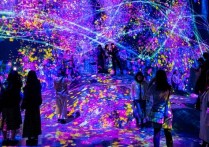 什麼是藝術表現？概念、存在藝術表現以及每種藝術的特徵