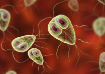 什麼是原生動物？概念、起源、特徵、分類、再現和例子