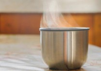什麼是汽化？概念、如何發生的以及各種例子、蒸發和沸騰
