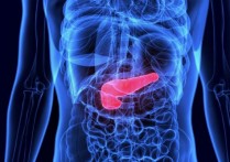 什麼是內分泌系統？概念、主要功能、組成腺體和可能疾病