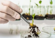 什麼是生物技術？它的歷史、類型和用途
