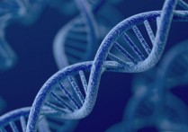 什麼是繼承？概念、存在類型、重要性、基因型和表現型