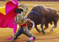 什麼是鬥牛？概念、特徵、起源、故事以及受到批評原因