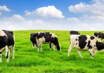 什麼是外來物種？概念、與本地物種和害蟲的差異、例子