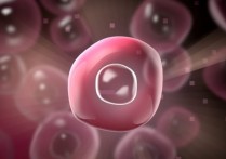 什麼是真核細胞？概念、特徵、存在類型、組成部分和功能