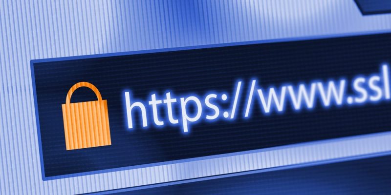 什麼是網頁？用途、現有的類型和 Web 瀏覽器