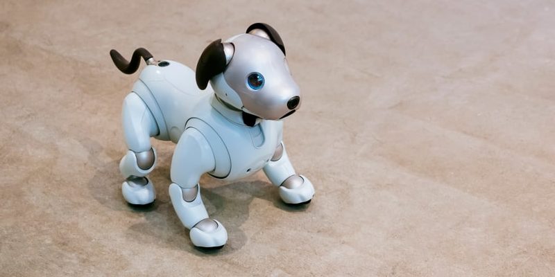 什麼是機器人、它的歷史、優點、類型和其他特徵