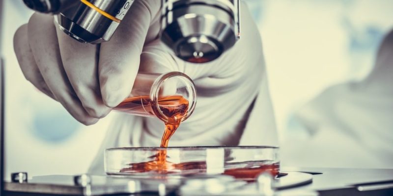 什麼是生物技術？它的歷史、類型和用途