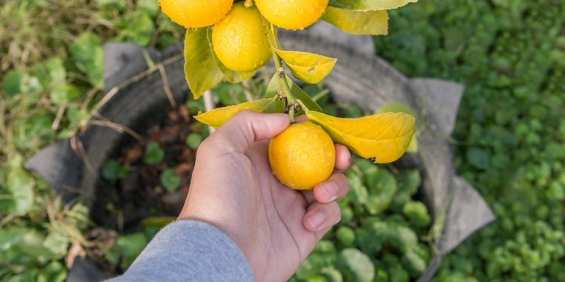 什麼是第三產業？概念、特徵、主要領域和例子